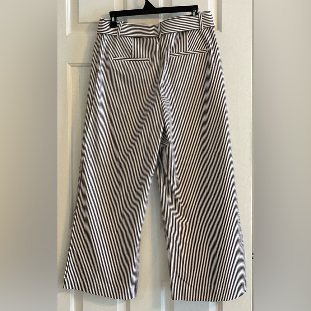 NWT LOFT Brown and White Striped Cropped Belted Pant - Size 6 - Picture 4 of 16